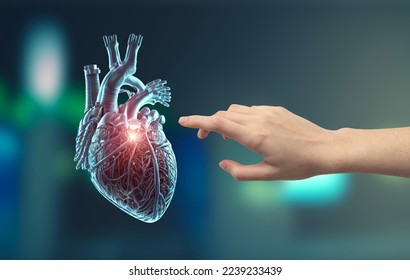 hand touching heart. Medical concept