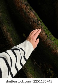 Hand touching the tree bark