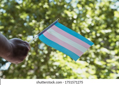 Hand With A Trans Small Flag
