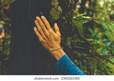 hand in the tree forest