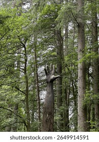 The hand in the trees