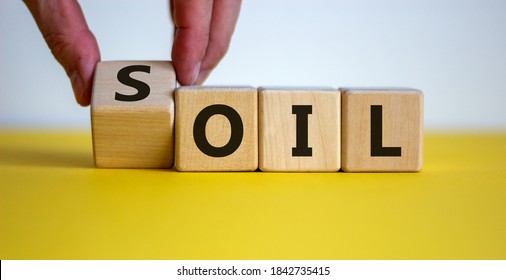 Hand turns a cube and changes the word Oil to Soil. Beautiful yellow table, white background, copy space. Concept. - Shutterstock ID 1842735415