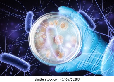 hand in violet glove holds petri dish with bacterium, isolated on black - Shutterstock ID 1466713283
