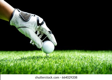 hand ware white leather glove holding golf ball and putting on tee off, golf-gear and equipment on grass.