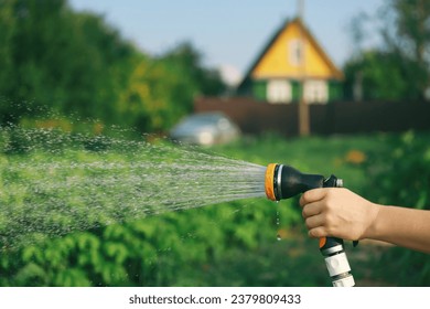 hand watering the garden against the background of a country house. lawn care