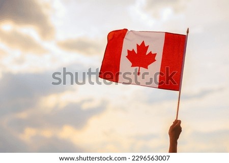 
Hand Waving the Flag of Canada on a Beautiful Sky. Optimistic person holding Canadian flag celebrating citizenship


