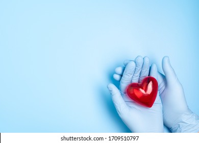 The Hand Wearing Blue Medical Glove Holding A Red Heart Model For Concept Doctors Treat And Care For Patients With Heart Or Cardiology Heart Disease.