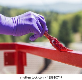 Hand wearing purple gloves and painting with a paint brush. - Powered by Shutterstock