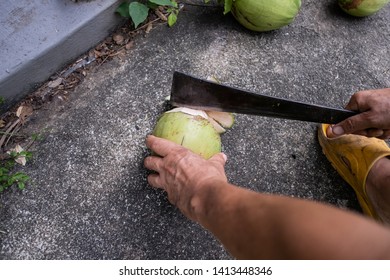 hand while cutting and opening fresh coconut