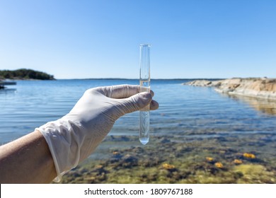  Hand In White Glove Collects Water In A Test Tube. Concept - Water Purity Analysis, Environment, Ecology. Water Testing For Infections, Permission To Swim. Water Sample.