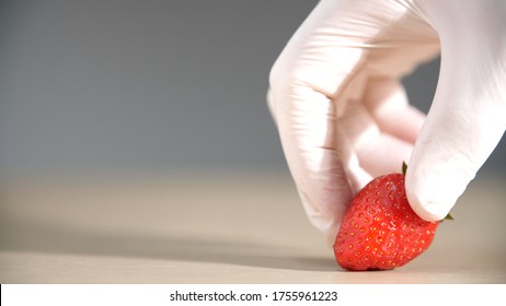 Hand in a white medical glove neatly stacks one ripe fresh strawberry on the table. One freshly picked red juicy berry strawberry lie on the table. Healthy summer tasty food from the garden.