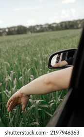 Hand In Window Of A Car On Background Of Wheat Field. Man Sticking His Hand Out Of A Car Window In Green Fields. Enjoying Summer Vacation In Countryside. Road Trip