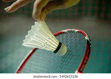 7,136 Badminton Female Images, Stock Photos & Vectors | Shutterstock