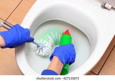 Hand of woman in blue glove cleaning toilet bowl using brush and detergent, concept for house cleaning and household duties