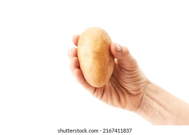 Hand of a woman holding a potato. Healthy food - Powered by Shutterstock