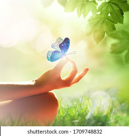 hand of a woman meditating in a yoga pose on the grass and butterfly
