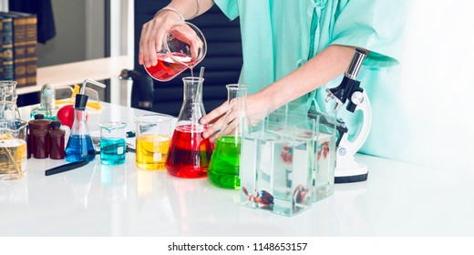 Hand Of Woman Veterinary Student Holding Beaker.Pour Water Into A Test Tube At The White Laboratory.Copy Space