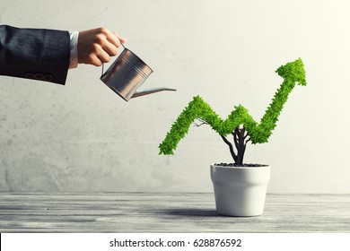 Hand of woman watering small plant in pot shaped like growing graph