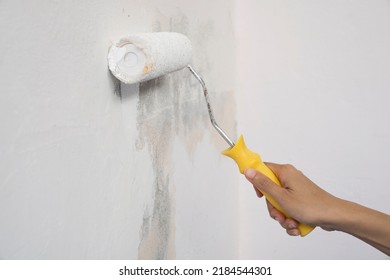 hand worker holding brush painting roller white on the wall house, diy and repair concept - Shutterstock ID 2184544301