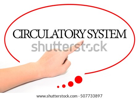 Hand writing CIRCULATORY SYSTEM  with the abstract background. The word CIRCULATORY SYSTEM represent the meaning of word as concept in stock photo.