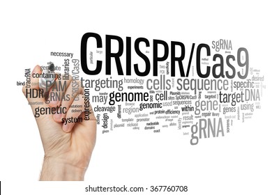 Hand writing CRISPR/Cas9 system for editing, regulating and targeting genomes (biotechnology and genetic engineering) word cloud