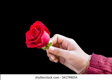 1000 Hand Beautiful Holding Red Rose Stock Images Photos