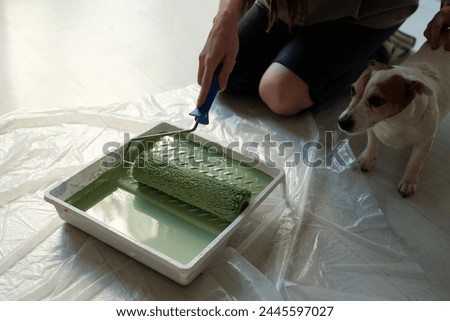 Hand of young unrecognizable woman holding paintroller in tray with green paint while standing on knees next to jack russell terrier