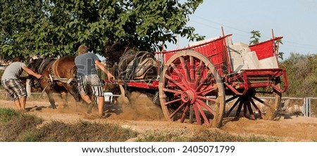 Handcart pulled by horses and men in the field