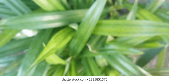 
 
Handcrafted background featuring ane interface pandan leaf motif set across the background
