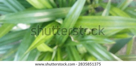 
 
Handcrafted background featuring ane interface pandan leaf motif set across the background
