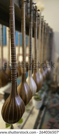 Handcrafted Persian string instruments hanging in a traditional shop, showcasing fine woodwork and rich musical heritage. Setar and tar