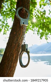 Handcuffs Hanging In The Tree.