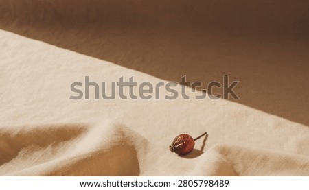 Hand-formed raku ceramic riser with dried lavender bundle for artisan fragrance brand editorial banners and premium packaging design.