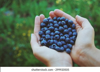 handful of blueberries