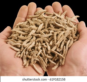 HANDFUL OF BRAN STICKS - Powered by Shutterstock