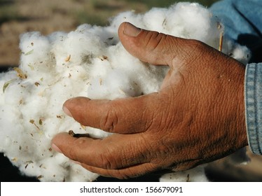 Handful of Cotton