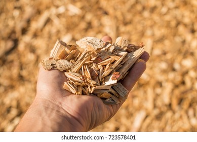 A handful of dry technological wood chips. Selective focus.