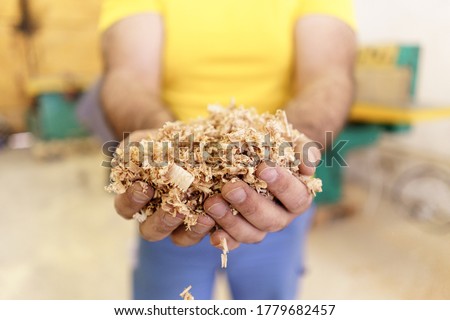 A handful of dry technological wood chips. Selective focus on sawdust