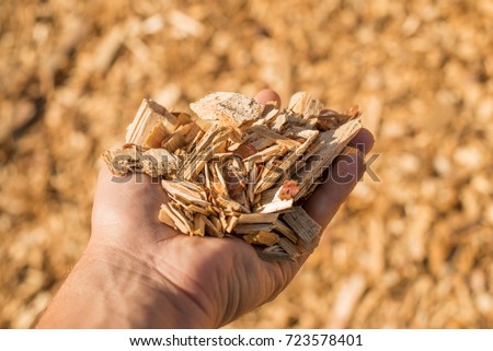 A handful of dry technological wood chips. Selective focus.