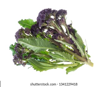 Handful Of Early Purple Sprouting Broccoli Spring Vegetable, Isolated On White. Overhead View.