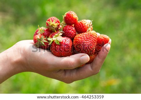 Similar – Image, Stock Photo strawberry season Food