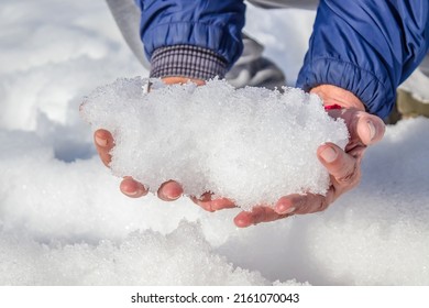 A Handful Of Melting Snow In The Hands