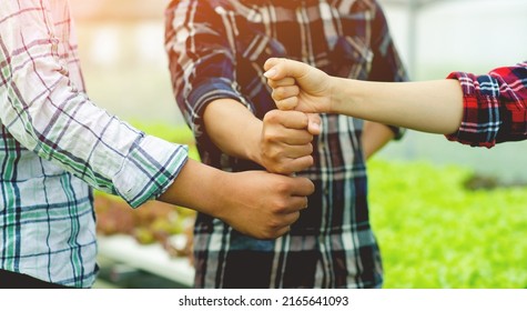 Handful of organic vegetable gardeners organic vegetables Green vegetables and gardener's vegetable plot and working together in harmony, working as a team - Shutterstock ID 2165641093
