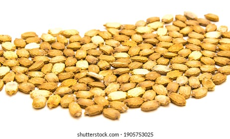 2,557 Bitter Melon Seeds Images, Stock Photos & Vectors | Shutterstock