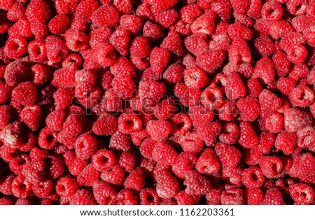 A Handful of Raspberries