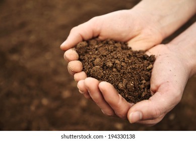 Handful Of Rich Brown Soil