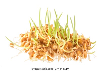 Handful of wheat germs isolated on the white background