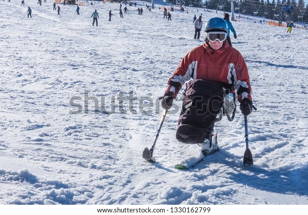 handicapped man riding a mono ski from the snow\
mountains, adaptive skiing for disabled men, vacation in the\
mountains for wheelchair\
