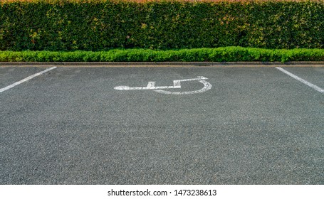 Handicapped Parking Lots. Gravel With Small Rocks Floor Area And White Disability Logo. Green And Pink Leaves And Bush In The Background.