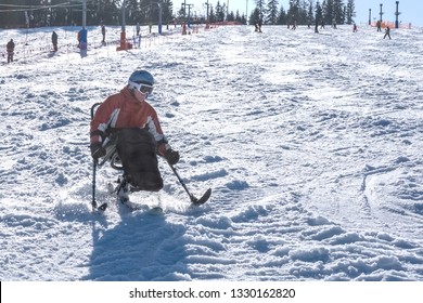 Handicapped Person Riding A Mono Ski From The Mountains - Wheelchair Winter Sport , Adaptive Sports School